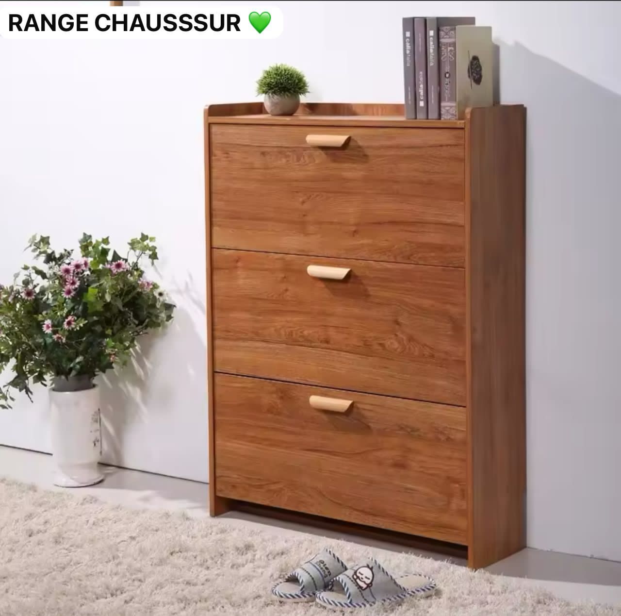 Meuble à chaussures en bois avec compartiments fermés Electroshopdakar